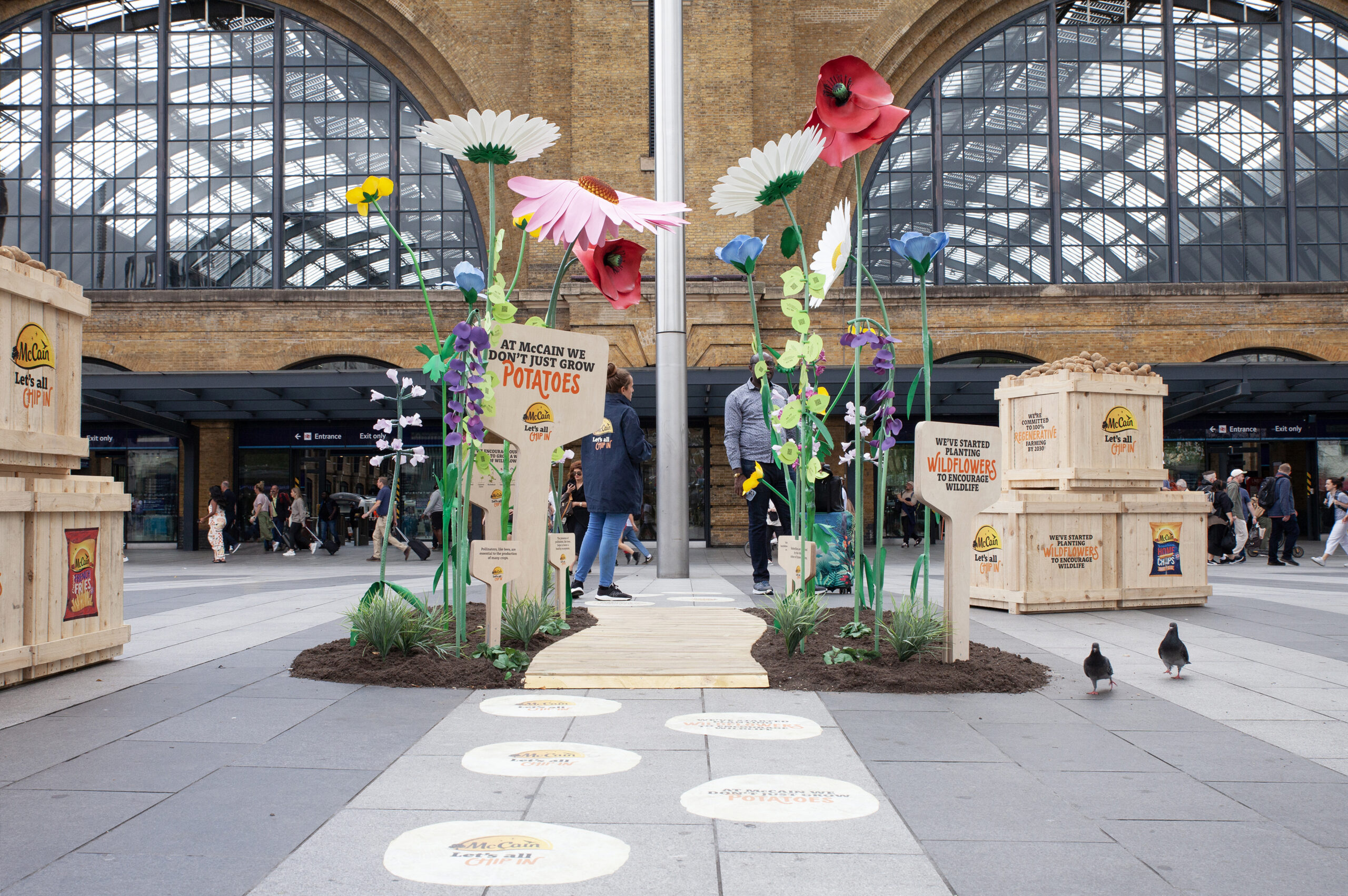 Wildflower installation at King’s Cross Station in London, featuring large, life-sized, colourful wildflowers, including daisies and poppies. Beneath the stems lies a soil patch on the tarmac of King’s Cross Station, adding to the natural ambiance. Wooden paneled flooring is laid between the flowers, encouraging visitors to walk among them. Additionally, there are three large wooden boxes containing potatoes, each branded with the McCain logo. This installation is part of McCain’s “Let’s All Chip In” campaign, which promotes regenerative agriculture and sustainability.