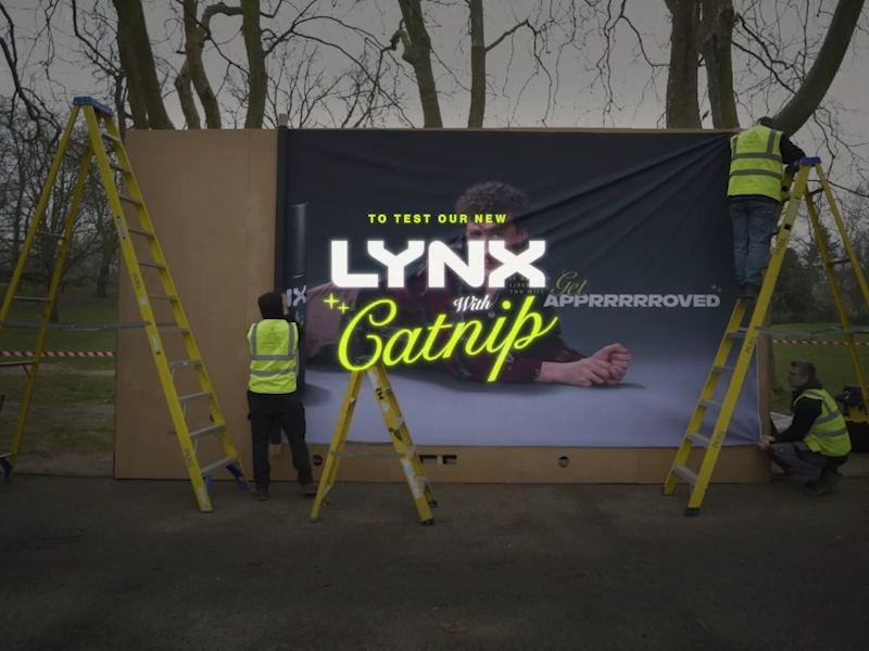Lynx Catnip